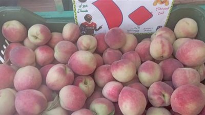 توافر المعروض وانخفاض أسعار الخضروات والفاكهة بأسواق الفيوم