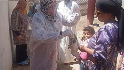 لجان بيطرية للتقصى عن مرض أنفلونزا الطيور والأمراض الوبائية بالفيوم