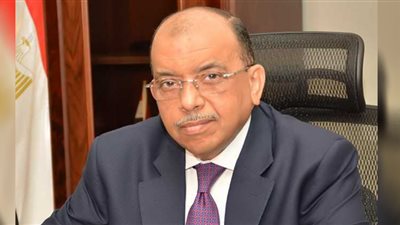 شعراوي: تمويل 3189 مشروعًا باستثمارات 36.6 مليون جنيه