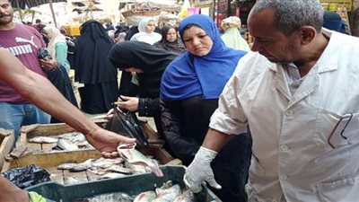 تحرير 13 محضرًا وضبط 171 كجم لحوم و دجاج وأسماك مخالفة بالشرقية