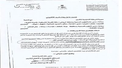 بعد شهرمن إطلاقها.. 40 ألف وثيقة تأمين على المصريين بالخارج