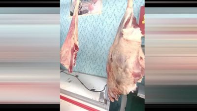 محافظ الدقهلية يحيل 45 مخالفة تموينية متنوعة إلى النيابة العامة