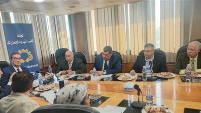 الضرائب تناقش المشكلات الضريبية لصناعة السينما بمصر