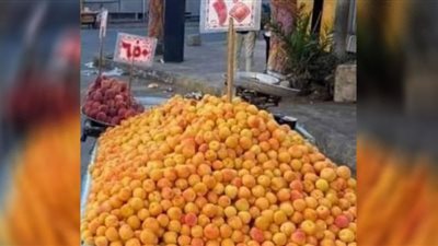 انخفاض أسعار الخضروات والفاكهة وتوافر المعروض بأسواق الفيوم