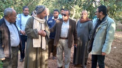 ندوة إرشادية لتوعية مزارعي المانجو بالفيوم