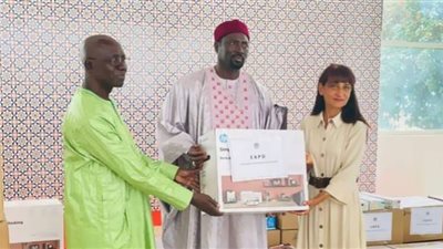 تسليم المساعدات المصرية إلى جامبيا