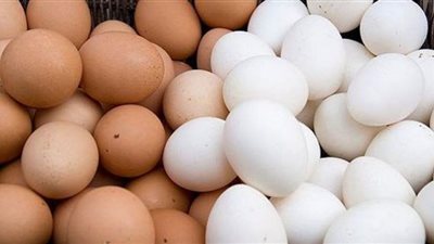 ارتفاع طفيف في أسعار البيض بالأسواق اليوم الجمعة