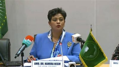 نميرة نجم: عقوبات للتصدي لانحرافات أعضاء المجلس الاقتصادي والاجتماعي والثقافي