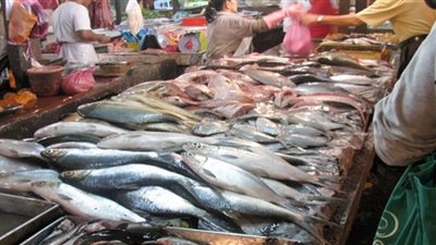 تعرف علي سعر السمك فى المنيا.. البياض بـ80 والبلطى من 40