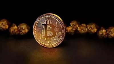 البيتكوين ينهار| أفضل سعر للاستثمار Bitcoin