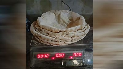 ضبط 43 مخالفة تموينية بمركز ميت غمر بالدقهلية