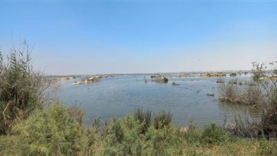 أول فريق بحثي لجامعة قناة السويس يتوجه لحل مشكلة ارتفاع منسوب المياه الجوفية بأبو خليفة