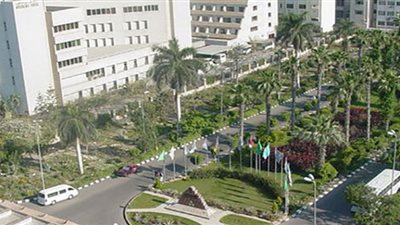 طالب بجامعة المنصورة يطعن زميلته أمام بوابة الجامعة