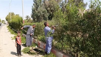 رئيس مدينة دشنا يتابع أعمال زراعة الأشجار بالمدينة