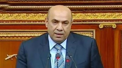 برلماني: العلاقات المصرية السعودية نموذج يحتذي به