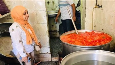 تحرير 51 محضرًا وإيقاف نشاط 13مطعمًا بدون ترخيص ببني سويف