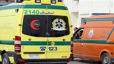 مات من الضرب.. سيدة تقتل زوجها بلكمات بالمرج