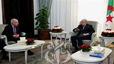 أبو الغيط وتبون يناقشان استعدادات القمة العربية المقبلة