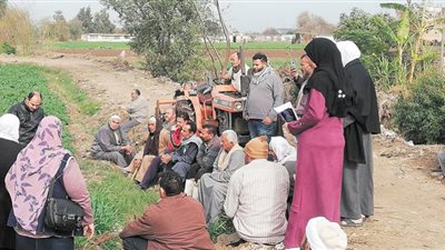 توقف نمو الكمون بالغربية.. و«الزراعة» تواجه بندوات توعوية