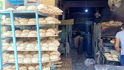 الإسماعيلية تستكمل تنفيذ خطة المرورِ الميدانيِّ على المخابز و معامل الألبان