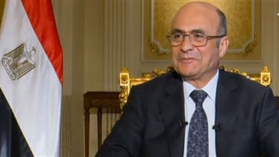 وزير العدل طورنا 337 محكمة خلال عامين