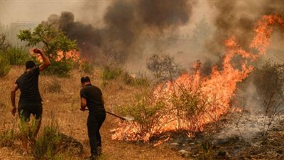تركيا.. تواصل إخماد الحرائق في غابات موغلا لليوم الثاني