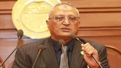 عبده أبو عايشة: زيارة ولي العهد السعودي لمصر ناجحة و تعكس متانة العلاقات بين الدولتين