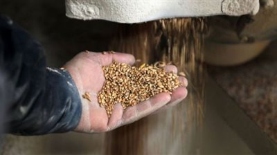 تضرر منشأتين أوكرانيتين ضخمتين للحبوب والزيوت بقصف روسي