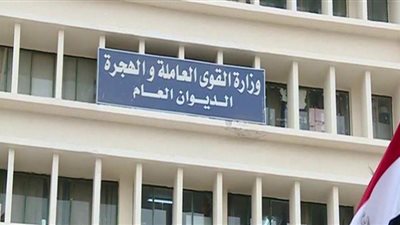 تعيين 638 شابًا منهم 16 من 