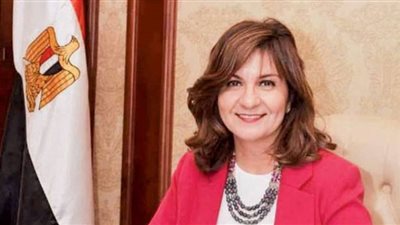 مقترح إطلاق برامج لشباب المصريين بالخارج