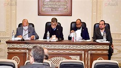 تعرف على تشكيل مجلس إدارة المجلس الصحي المصري