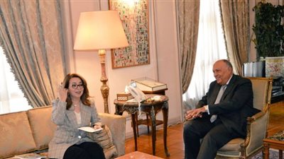 شكري يبحث مع والى تعزيز التعاون بين مصر ومكتب الأمم المتحدة للجريمة والمخدرات