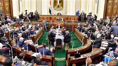 الهيئات البرلمانية تعلن الموافقة على قانون المجلس الصحي المصري