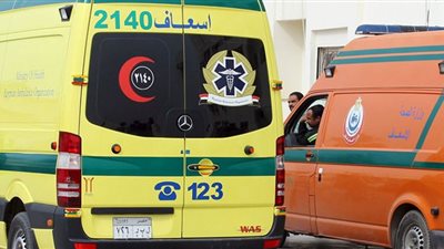العثور على جثة لسيدة في حالة تعفن بالدقهلية
