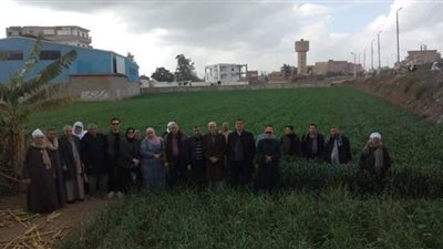 ندوة حقلية عن محصول القمح بأبو حماد