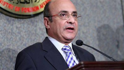 وزير العدل في اليوم العالمي للخدمة العامة: نهتم بتطوير العمل الحكومي