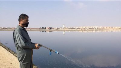 الشرقية: تطهير وتعقيم المدارس ودور العبادة والأماكن الحيوية