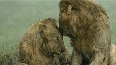 شاهد .. أجمل اللقطات الفوتوغرافية من مسابقة 