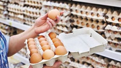أسعار البيض تتحدى العرض والطلب