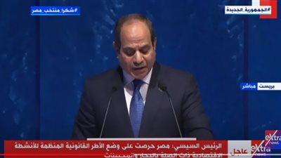 السيسي يعلن انضمام مصر للإعلان الصادر عن قمة محيط واحد (فيديو)