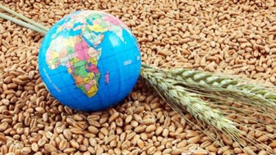 كاتبة أمريكية: أزمة الغذاء العالمية تستلزم اتخاذ إجراءات عاجلة