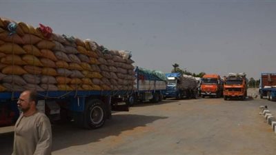 توريد 229 ألف طن قمح إلى شون بني سويف