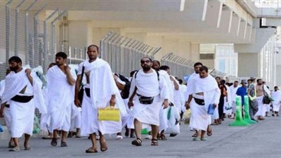 وصول أكثر من 232 ألف حاج إلى المدينة المنورة