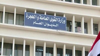 القوى العاملة: صرف 7.6 ملايين جنيه للعمالة غير المنتظمة بالإسكندرية