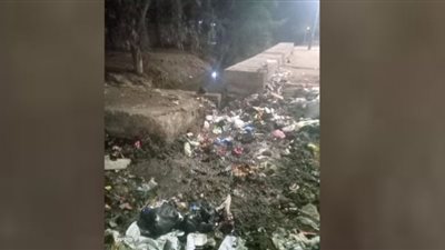 (صور) الإهمال ومياه الصرف يهددان حياه أهالي عزبة فرج سالم بدمياط