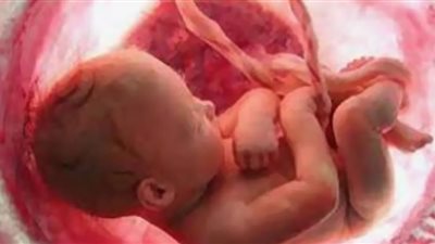 تفاصيل جديدة حول كيفية تأثير التعرض للمعادن على نمو الأجنة