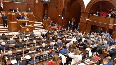 أبرز المعلومات عن تعديل قانون الرياضة بمجلس الشيوخ