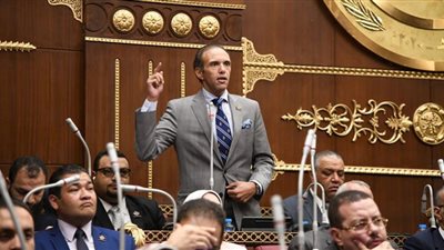 محمد فريد: دعم المنظومة الرياضة يقضي على 