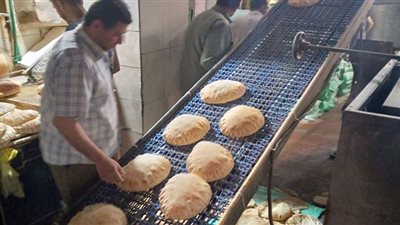 محافظ الدقهلية يحيل 55 مخالفة تموينية متنوعة إلى النيابة العامة