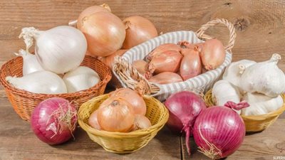 دراسة: بعض أنواع البصل لها خصائص مقاومة للسرطان